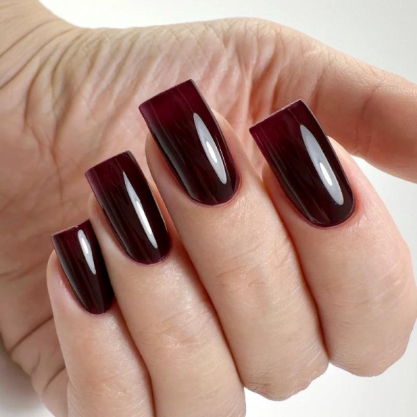 Гел лак PNB 8 мл 150